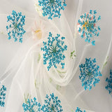 60 Pcs Dried Pressed Flowers for Resin DIY Art Crafts Natural Dry Floral Epoxy Jewelry Real Lace Flower Decor Cakes Phone Cases Candles Handmade Soap TopFunny