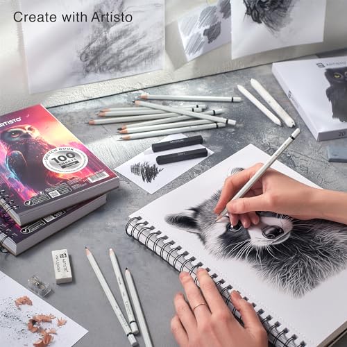 Artisto Drawing and Sketching Pencil Art Set (20 Items) - Complete Kit with Graphite Pencils, Charcoal Pencils, Sticks, Blending Stumps, Erasers, and - WoodArtSupply