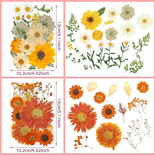 Pressed Flowers Bulk Dried Flower for Resin Mold, Dried Flower Leave Natural with Tweezer for Crafts Christmas DIY Gift Scrapbooking(Rustic Style) Nuanchu