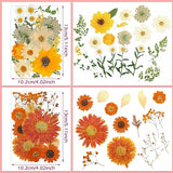 Pressed Flowers Bulk Dried Flower for Resin Mold, Dried Flower Leave Natural with Tweezer for Crafts Christmas DIY Gift Scrapbooking(Rustic Style) Nuanchu