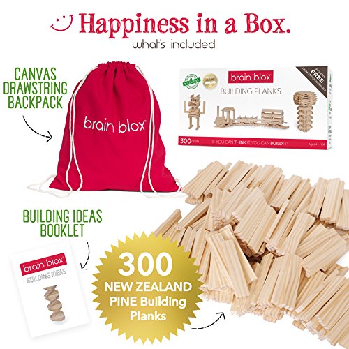 Brain Blox Natural Wooden Blocks for Kids Ages 4-8 - Montessori Blocks for Hands-on Learning - STEM and Architecture for Kids (300 Building Blocks) Brain Blox