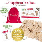 Brain Blox Natural Wooden Blocks for Kids Ages 4-8 - Montessori Blocks for Hands-on Learning - STEM and Architecture for Kids (300 Building Blocks) Brain Blox