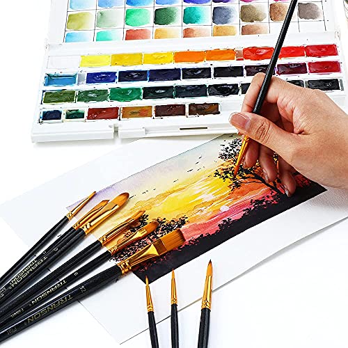 Transon 20pcs Art Painting Brush Set for Acrylic Watercolor Gouache Hobby Craft Face Painting - WoodArtSupply