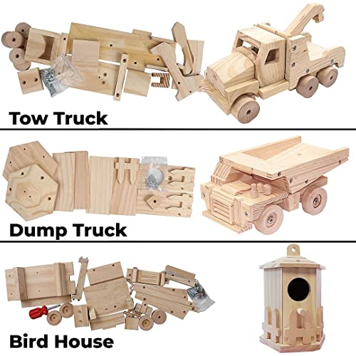 Kraftic Woodworking Building Kit for Kids and Adults, with 3 Educational DIY Carpentry Construction Wood Model Kit Toy Projects for Boys and Girls -