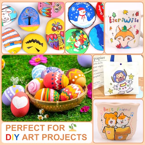 EscriWise 48 Colors Dual Tip Acrylic Paint Pens Set-Permanent Acrylic Paint Markers with Brush and Fine Tip, Water Based Art Paint Pens for Rock EscriWise