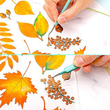 Whaline Weeding Vinyl Tools 4 Pieces Precision Stainless Steel Cricut Weeder Tool with Case Vinyl Craft Paper Craft Tool Kit for Silhouettes Cameos Whaline