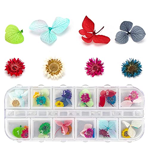 4 Boxes Dried Flowers for Resin, Gartful 48 Styles Natural 3D Applique Flowers DIY Craft Supplies, Resin Epoxy Casting Fillers for Silicone Molds, Gartful