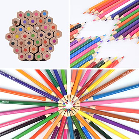 VIKAVAS 50 Colored Pencils Set with Roll Up Canvas Case for Adult Coloring Books, Drawing, Sketching, Christmas Gift for Adults&Kids VIKAVAS