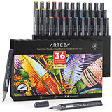 ARTEZA Alcohol Brush Markers, Set of 36 Colors, EverBlend Tropical Tones, Medium Chisel and Brush Nib, Dual Tip Markers for Drawing and Sketching ARTEZA