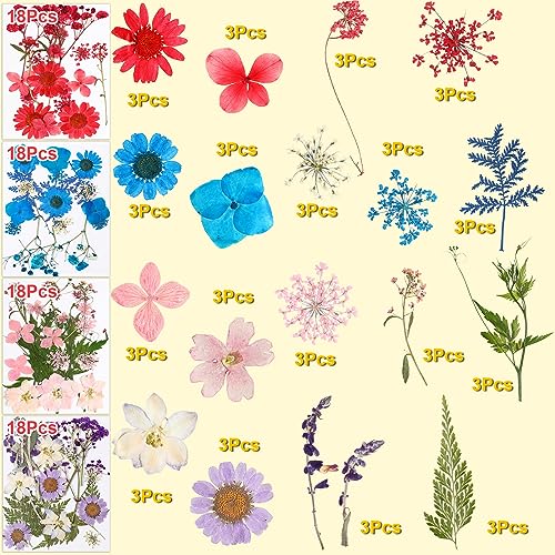 Fabbay 712 Pcs Dried Pressed for Resin with Tweezer Flowers Leaves Butterfly Stickers Dry Flowers Leaves Bulk Natural Dried Flower Scrapbook - WoodArtSupply