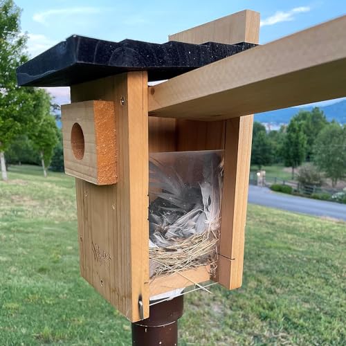 Nature's Way Bird Products CWH4 Cedar Bluebird Viewing House NATURES WAY BIRD PRODUCTS
