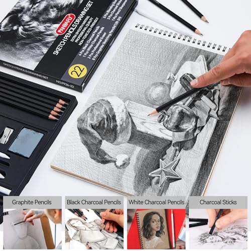 PANDAFLY Drawing Sketching Pencil Set, 22 Piece Pro Art Pencil Kit - Graphite Pencils (12B-2H), Black and White Charcoal Pencils, Charcoal Sticks, - WoodArtSupply