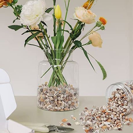 Weoxpr 2000 Pcs Tiny Sea Shells for Crafting,Mixed Ocean Beach Mini Seashells Bulk for Home Decorations,Beach Theme Party, Small Shells for Craft, WEOXPR