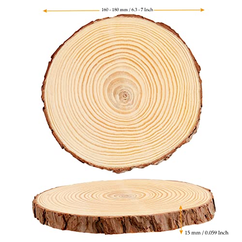 MUKCHAP 10 Pcs 6.3-7 Inch Natural Pine Wood Slices, 0.6 Inch Thick Unfinished Wood Discs for Festival Ornaments, Wedding Decoration, DIY Craft MUKCHAP