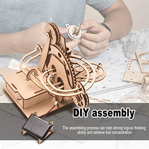 Marble Run 3D Wooden Puzzle for Adults and Teens,DIY Model Kit,Educational Jigsaw Puzzles Building Toys, STEM Projects Science Experiments Runs on auryee