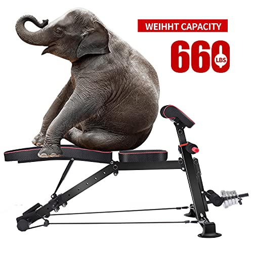 Adjustable Weight Bench - Utility Weight Benches for Full Body Workout, Foldable Flat/Incline/Decline Exercise Multi-Purpose Bench for Home Gym K KiNGKANG