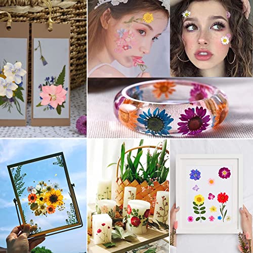 Miraclekoo 121 Pcs Dried Pressed Flowers Leaves Petals for Resin Mold,Dry Flowers for Resin,Pressed Leaf Art,Scrapbooking,Crafts,Soap/Candle - WoodArtSupply