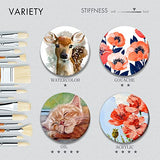 ARTIFY Oil Paint Brushes Set, 15Pcs Professional Natural Chungking Bristle Acrylic Paint Set, Perfect for Oil and Acrylic Painting, Long and Heavy ARTIFY art supplies