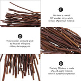 Didiseaon Handmade DIY Forest Branch Natural Twig DIY Decors, Sticks for Crafting Twigs, Natural Tree Bark Rustic Home Decor (40pcs) Didiseaon