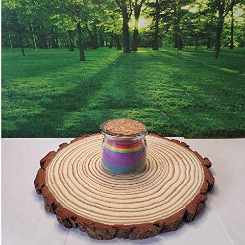 Natural Wood Slices Round Pine Wood Slabs 5 Pack Round Rustic Woods Slices 9"-11" Rustic Tree Bark Slice Weathered Log Disc Outdoor Country Barn BESTWD