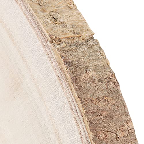 LEXININ 6 Pack 10-11 Inches Natural Wood Slices, 25-28cm Unfinished Wooden Log Slices, Round Large Wood Circles for Weddings, Table Centerpieces, LEXININ