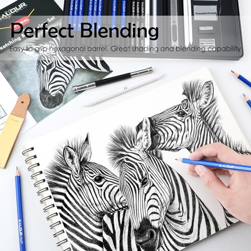 Professional Drawing Sketching Pencil Set - 12 Pieces Art Drawing  Pencils(8B - 2H), Ideal for Drawing Art, Sketching, Shading, for Beginners  & Pro