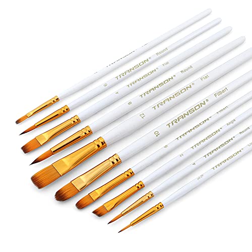 Transon 20pcs Artist Painting Brush Set for Acrylic Watercolor Gouache Hobby Craft Face Rock Painting White TRANSON