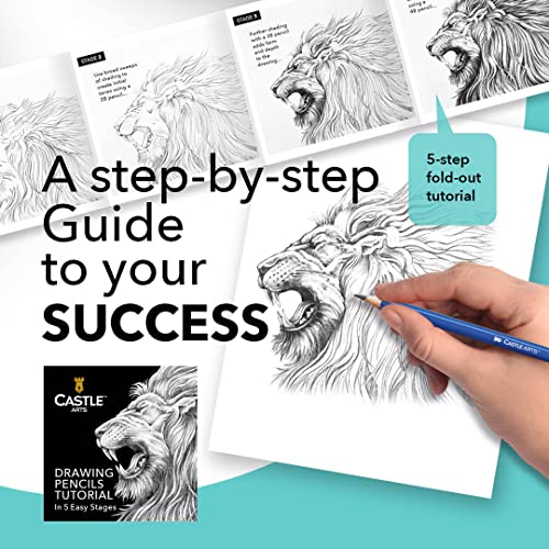 Castle Art Supplies 12 Piece Graphite Drawing Pencils Kit | For Adult Artists – Beginners and Advanced | Presented in Attractive, Compact, Sturdy Castle Art Supplies