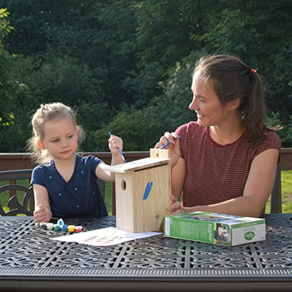 Nature's Way Bird Products DIY First Viewing Window Garden-Bird-House, Wood