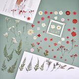 DALARAN 100pcs Red Natural Flowers and Leaves Compressed Dried Flowers for Resin Vacuum Packed DIY Dried Flowers for Epoxy Jewelry Candles Soap Nail DALARAN