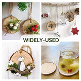 Falling in Art 3.1-4 Inches Natural Wood Slices Set for Crafts - 25Pcs Round Wood Discs with Pre-drilled Hole for DIY Projects, Christmas Ornaments Falling in Art