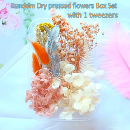 Dried Pressed Flowers Mixed Box for Resin Random, with 1 Tweezers, Real Natural Dry Mixed Flowers Leaves Bulk Herbs Kit for Scrapbooking DIY Art - WoodArtSupply