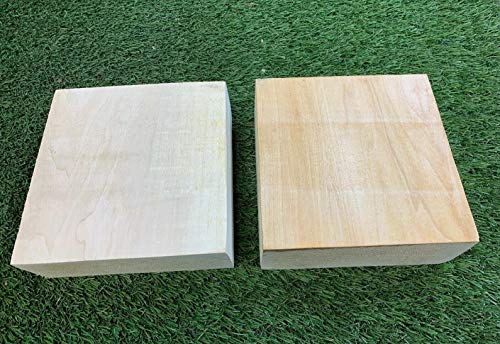 Set of 2 Basswood Bowl Blanks for Turning, Measuring 8 x 8 x 2 Inches, Suitable Carving/Whittling Block - WoodArtSupply