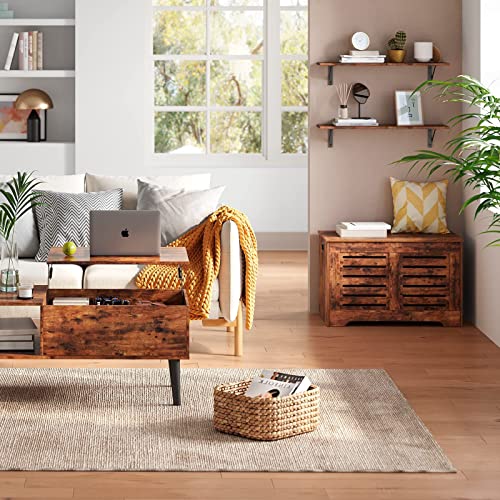 DINZI LVJ Long Wall Shelves, 31.5 Inch Wall Mounted Shelves Set of 2, Easy-to-Install, Wall Storage Ledges with Sturdy Metal Brackets for Living DINZI LVJ