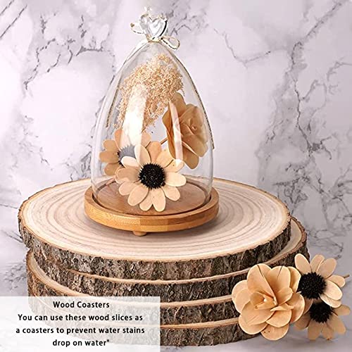 QTLCOHD 100Pcs Wood Slices 2.4-2.8 Inches Natural Wood Slices Unfinished Wood Slice Ornaments Undrilled Wood Circles for Crafts DIY Christmas - WoodArtSupply