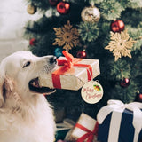 Wooden Christmas Tree Ornaments to Paint Christmas Thanksgiving Decoration Cutouts Unfinished 24PCS 3.5 x 3.5 inches, DIY Blank Unfinished Christmas Sophena