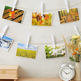 Juvale 100 Pack Wooden Clothespins for Hanging Laundry, Crafts, Photos (White, 4 in) Juvale