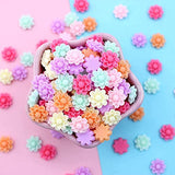 SUKPSY 100 Pcs Flatback Resin Flowers Mixed Loose Embellishments for DIY Crafts Hair Clips Phone Case Decorations Accessories (100)… SUKPSY