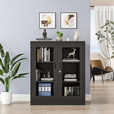 AFAIF Metal Storage Cabinet, Glass Cabinet Sideboard, Bookcase with Glass Doors, Curio Cabinet with 2 Adjustable Shelves, Lockable Metal Display AFAIF