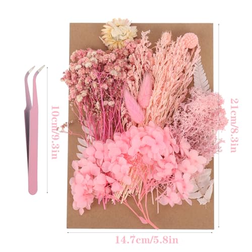 QSCFKL Real Dried Flowers, Dried Pressed Flowers for Resin Molds，Natural Dried Flowers Mixed, Hydrangeas, Daisies, Natural Pressed Flowers White - WoodArtSupply