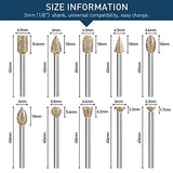 Diamond Grinding Burr Bit Set，20Pcs Rotary Tool Accessories Stone Carving Set with 1/8 inch Shank for Stone Ceramic Glass Carving, Grinding, shengbenhao