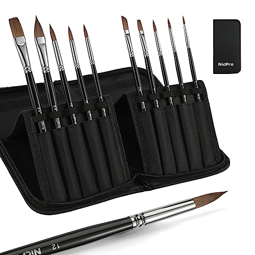 Nicpro 10 PCS Sable Watercolor Brush Set, Professional Watercolor Paint Brushes, Artist Kolinsky Variety Shapes with Flat Round Pointed Paint Brush Nicpro
