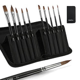 Nicpro 10 PCS Sable Watercolor Brush Set, Professional Watercolor Paint Brushes, Artist Kolinsky Variety Shapes with Flat Round Pointed Paint Brush Nicpro