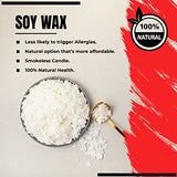 kid labsters - DIY Candle Making Kit for Adults & Kids - Beginner Soy Candle Making kit Includes Soy Wax, Scents, Wicks, Dyes, Tins, Melting Pot to kid labsters