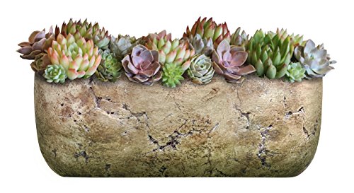 Classic Home and Garden 240001P-432 Dakota Trough, Earth Moss, Large - WoodArtSupply