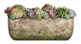 Classic Home and Garden 240001P-432 Dakota Trough, Earth Moss, Large Classic Home and Garden