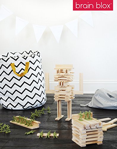 Brain Blox Natural Wooden Blocks for Kids Ages 4-8 - Montessori Blocks for Hands-on Learning - STEM and Architecture for Kids (300 Building Blocks) Brain Blox