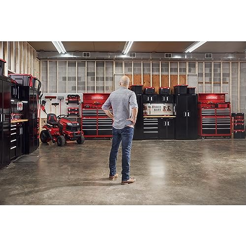 CRAFTSMAN Plastic Tool Box With Drawers, Organizer and Storage (CMST17804) Craftsman