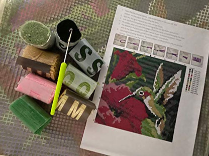 Colorful Hummingbird Latch Hook Craft Kit, 16'' X 16'' Tapestry Kits Latch Hook Rug Kits Carpet Embroidery Needlework DIY Rugs Hook Rug - WoodArtSupply