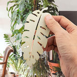 Summer-Ray 20 Wooden Monstera Leaves Laser Cutout DIY Craft Party Decoration Art Embellishment Room Decoration Summer-Ray.com